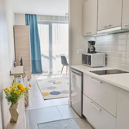 Garsoniera Selena Onix Blue Apartament